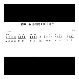 我送我的哥哥去开河 东台市