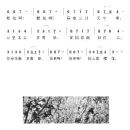 日本经典歌曲谱:樱花 简谱