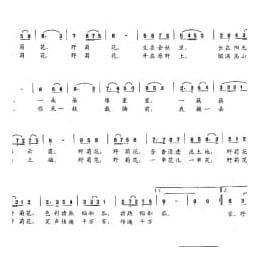 少儿歌唱考级简谱:野菊花 穆志强词 李嘉评曲 四级